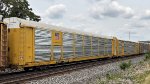 TTGX 253690